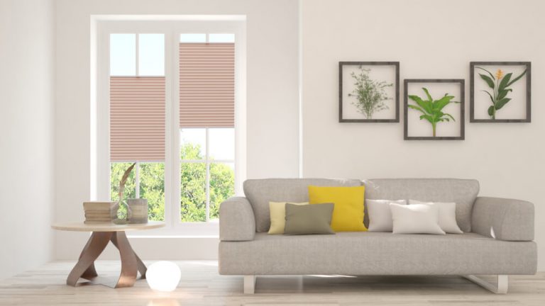 Plisy w mieszkaniu Rzeszów